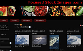 Focused Stock Images Digital Images Store